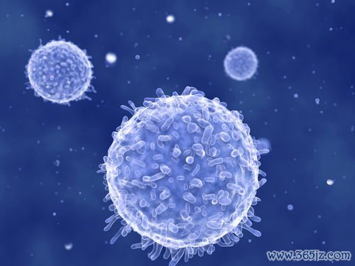 卵泡膜细胞增生症是什么病