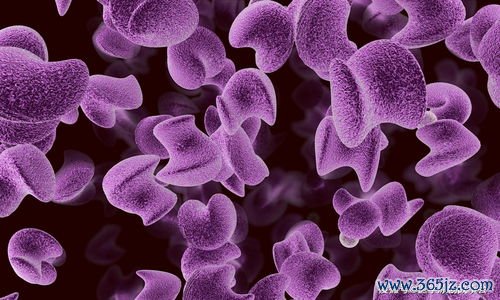 幽门螺杆菌杀菌期间，这样吃效果好一半