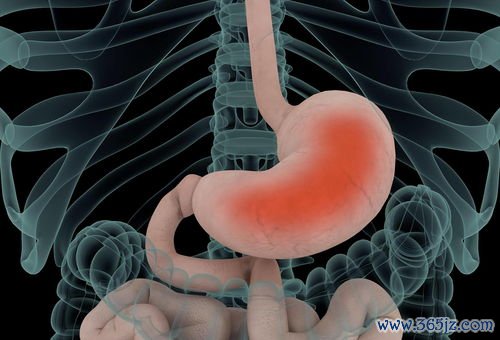 幽门螺杆菌阳性饮食吃什么能抑制杀菌期间怎么吃 幽门螺杆菌阳性饮食吃什么能抑制杀菌期间怎么吃