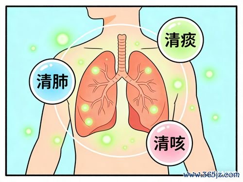 咳嗽：感冒好了咳嗽还在——感染后咳嗽能自己好吗？