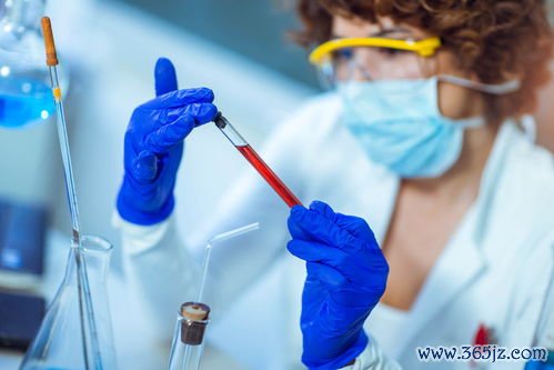 试管,儿去,哪里