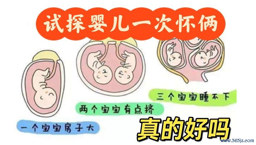 做试管婴儿可以做龙凤胎吗