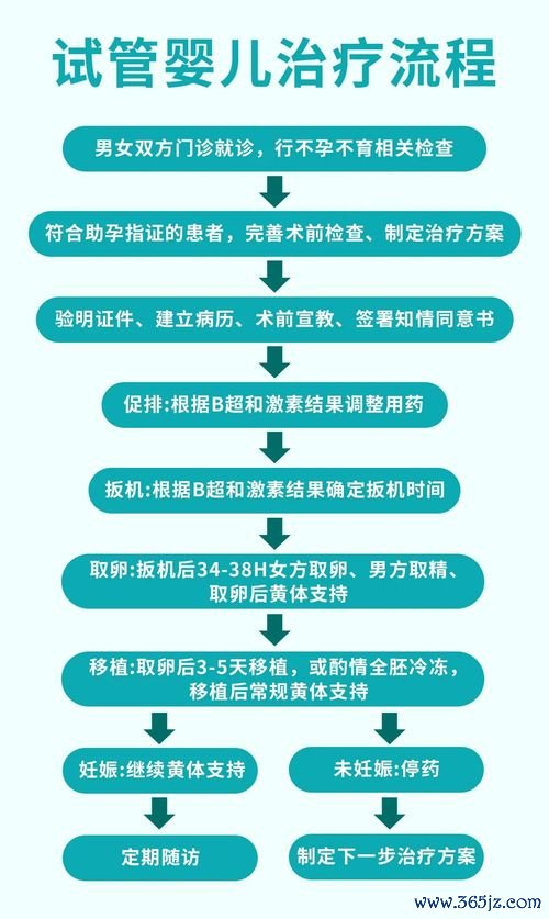 试管婴儿,以报,医保