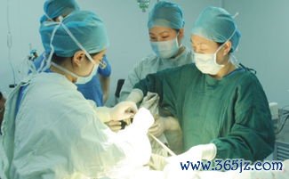 双角子宫容易流产吗