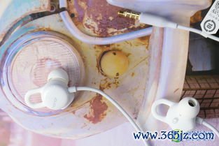 心律失常饮食心跳乱的人这些食物要避开