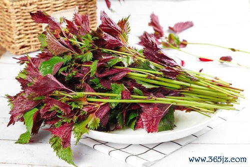 凌霄花凉血，凌霄花散