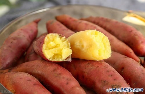 减肥,红薯,玉米,哪个,膳食