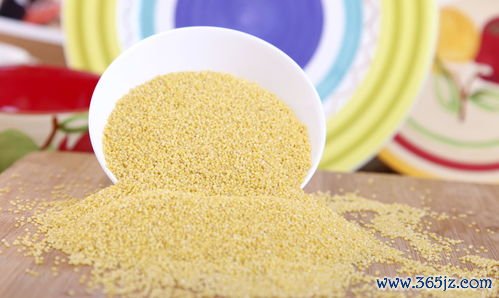 维生素,减肥,缺乏,影响,代谢