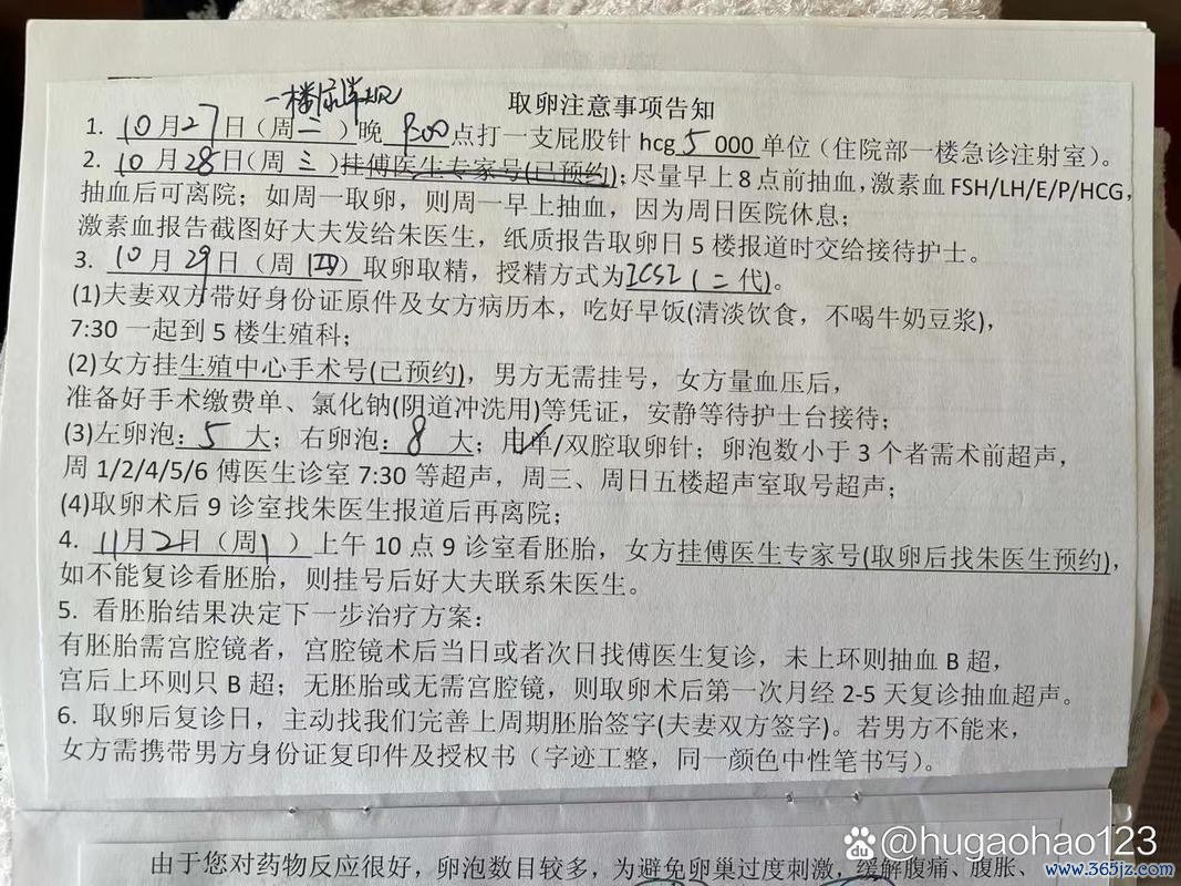 做试管婴儿可以选择性别吗