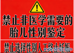 做试管婴儿可以选择性别吗