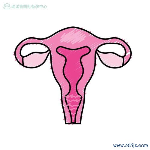 做试管婴儿后注意事项