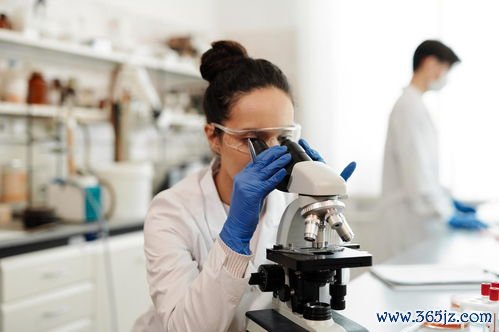 做试管婴儿吃什么最好