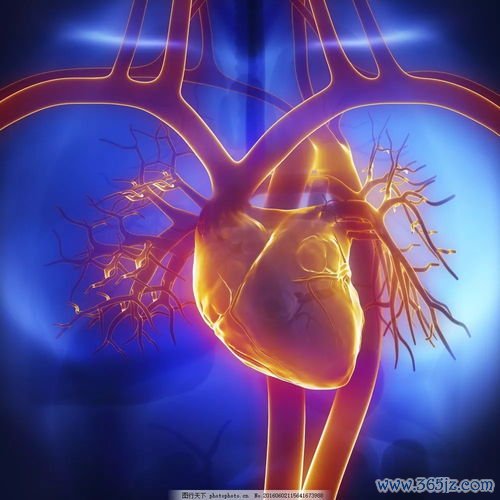 心肌梗死术后饮食：心脏支架后怎么吃才能防复发？