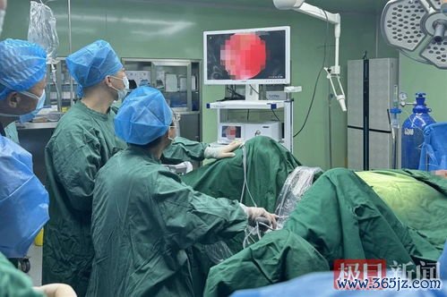 利水通,车前,滑石,频尿,急尿