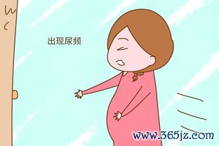 利水通淋车前滑石，尿频尿急尿痛淋