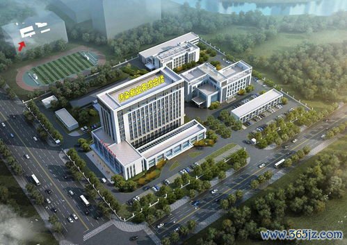 吴川市妇幼保健院地址：吴川市妇幼保健院与湛江市妇幼保健院协作关系