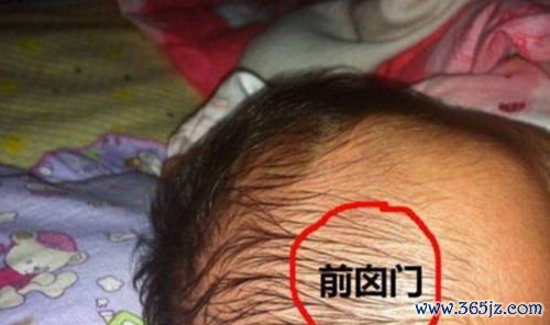 囟门：头顶软的地方