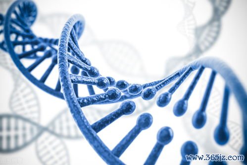 基因检测：查基因突变，指导靶向治疗