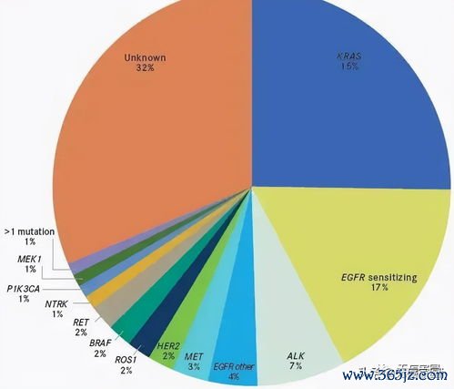 基因检测：查基因突变，指导靶向治疗
