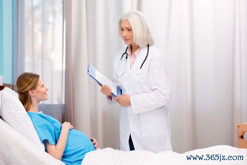 做试管婴儿哪个医院成功率最高