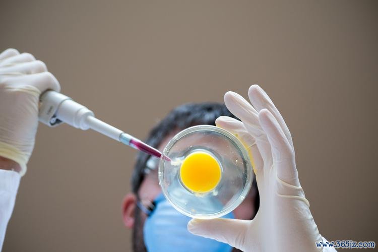 做试管婴儿哪家医院相对比较好，对比分析