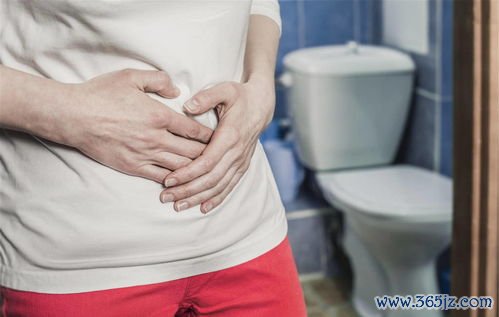 利水渗湿药通水道，水肿淋浊黄疸消