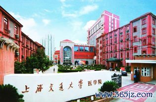 国际和平妇幼保健院官网：国际和平妇幼保健院与上海交通大学医学院附属医院对比
