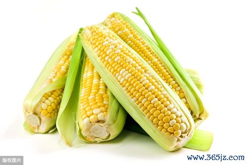 藕粉减肥还是增肥，藕粉热量