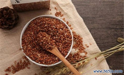 藕粉减肥还是增肥，藕粉热量