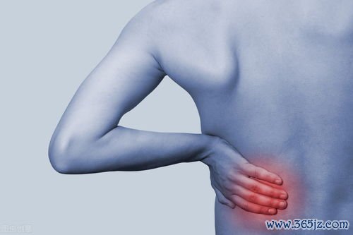 肉芽肿性多血管炎-上呼吸道肺肾，PR3-ANCA阳性