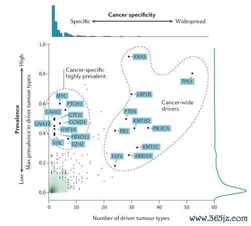 基因突变：癌症基因检测，指导用药