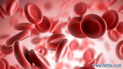 增生异常综合征：乱造血，可能转白血病