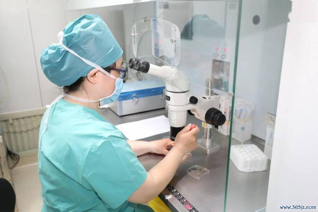 做试管婴儿图片
