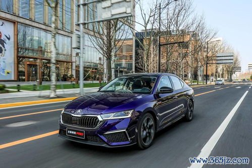 囊胚移植和卵裂期胚胎移植哪个成功率更高