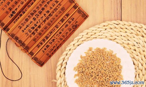 回奶,食物,真的,有效,韭菜