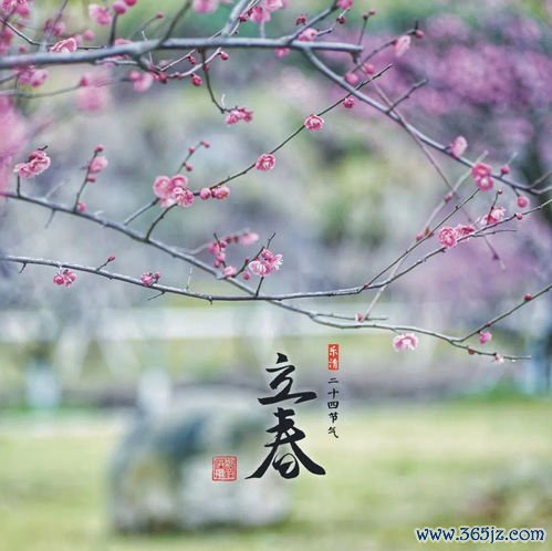 惊蛰吃什么养生，万物复苏人要防病