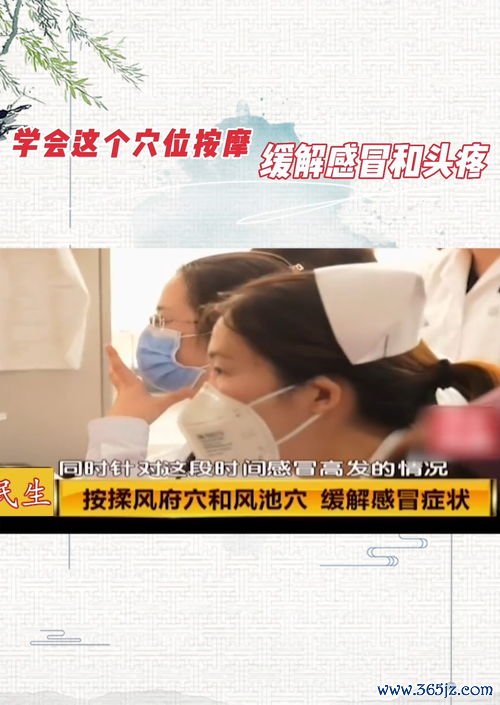 回春医疗保健操视频：回春医疗保健操与中医经络养生理论结合解析