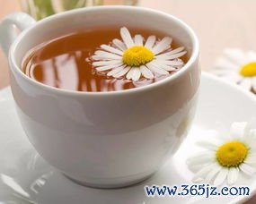 豆浆,减肥法,怎么,无糖,瘦身