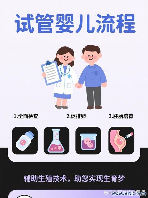 做试管婴儿大概多少钱