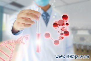 试管婴儿,大概,少钱