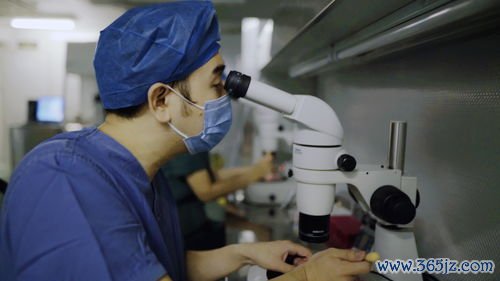 做试管婴儿多长时间