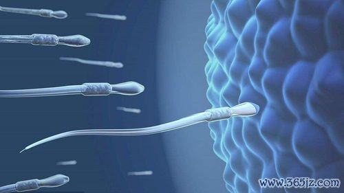 做试管婴儿大概需要多少钱