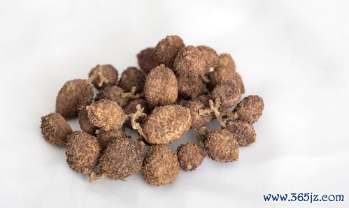 化痰,熄风,半夏,白术,天麻