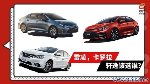 青少年,减肥,训练营,安全,怎么