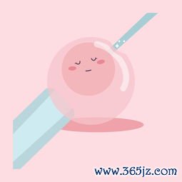 做试管婴儿大概需要花多少钱