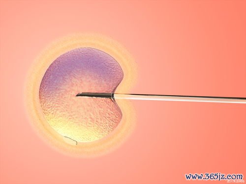 做试管婴儿大概需要花多少钱