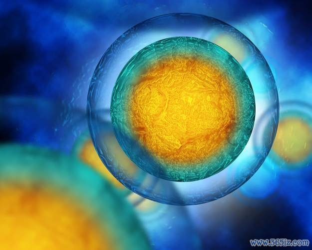 做试管婴儿大概需要花多少钱？悠仁试管