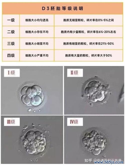 做试管婴儿失败的原因