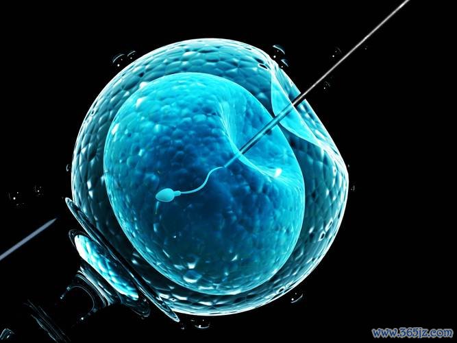 做试管婴儿女人受罪吗？伤身体吗