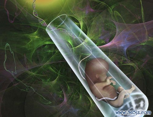 做试管婴儿女人受罪吗